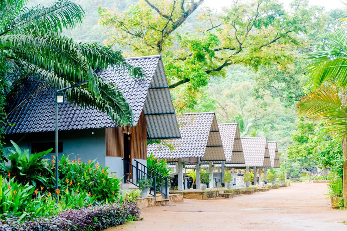 Stream Side Resort Natural Beauty